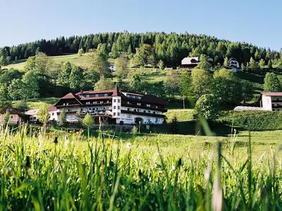 Einzelzimmer für 1 Person in Krakaudorf 1/10