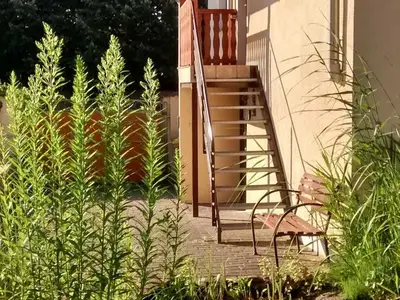 Einzelzimmer für 1 Person (10 m²) in Magdeburg 3/10