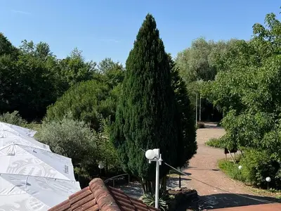 Einzelzimmer für 1 Person (15 m²) in Mandelbachtal 5/7