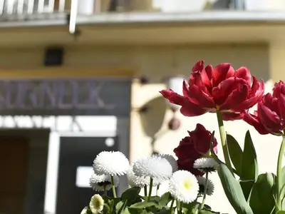 Einzelzimmer für 1 Person (16 m²) in Marburg 2/10