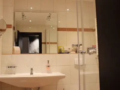 Einzelzimmer für 1 Person in Medebach 5/5