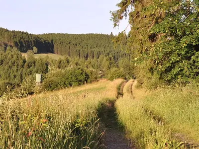 Einzelzimmer für 1 Person in Medebach 10/10