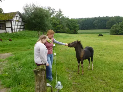 Einzelzimmer für 2 Personen (10 m²) in Merzen 7/10