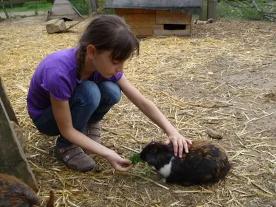 Einzelzimmer für 2 Personen (10 m²) in Merzen 10/10