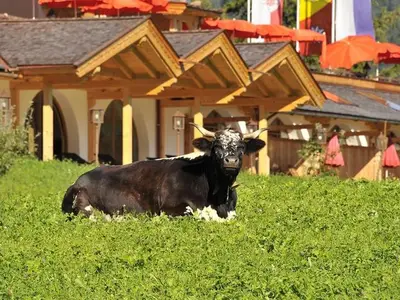 Einzelzimmer für 1 Person (19 m²) in Mittenwald 5/10