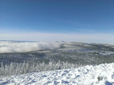 Blick vom Lusen