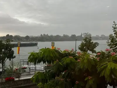 Einzelzimmer für 1 Person (14 m²) in Nierstein 4/10