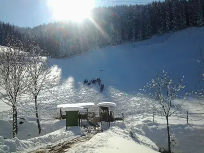 Umgebung Winter