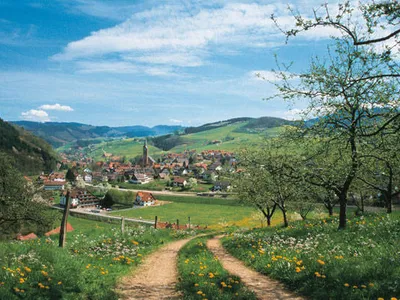 Einzelzimmer für 1 Person in Oberharmersbach 9/10