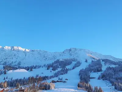 Einzelzimmer für 1 Person (20 m²) in Bad Hindelang 4/10
