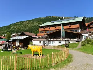 Einzelzimmer für 1 Person (17 m²) in Bad Hindelang