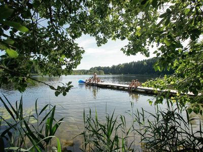 Griessee