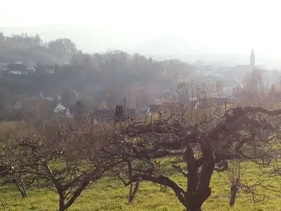 Einzelzimmer für 1 Person in Ohlsbach 4/10