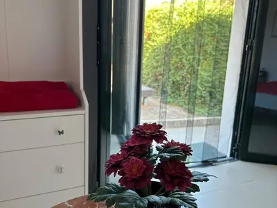 Einzelzimmer für 1 Person (12 m²) in Olvera 7/10