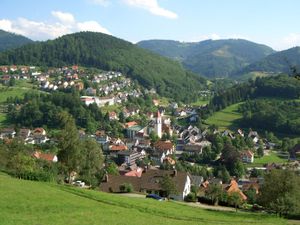 19406193-Einzelzimmer-1-Ottenhöfen im Schwarzwald-300x225-3