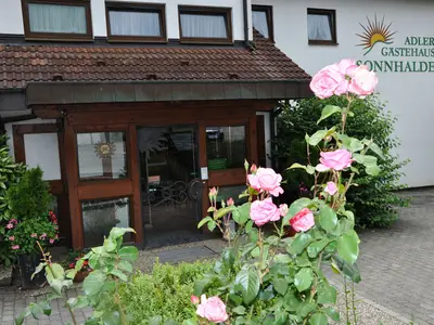Einzelzimmer für 1 Person in Radolfzell am Bodensee 3/10