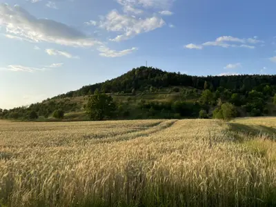 Einzelzimmer für 1 Person in Rangendingen 3/10