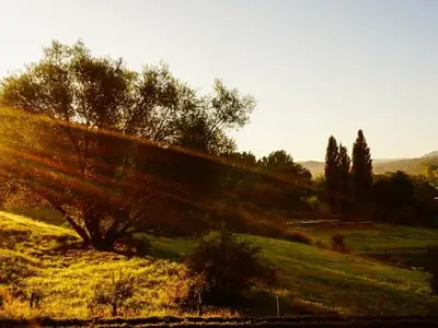 Sonnenaufgang, Blick zur Burg Hohenzollern