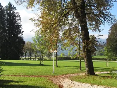 Einzelzimmer für 1 Person (12 m²) in Roßleithen 6/10