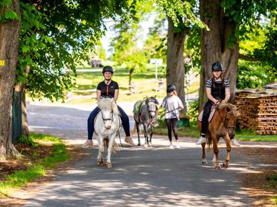 Ponyreiten auf dem Ferienhof Domäne Groschwitz