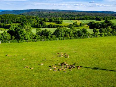 Wildgehege auf dem Ferienhof Domäne Groschwitz