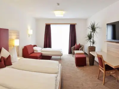 Einzelzimmer für 1 Person (20 m²) in Schladming 8/10