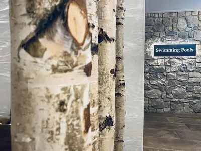 Einzelzimmer für 1 Person (18 m²) in Schladming 6/10