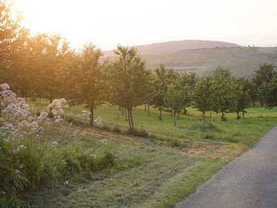 Einzelzimmer für 2 Personen (25 m²) in Schliengen 10/10