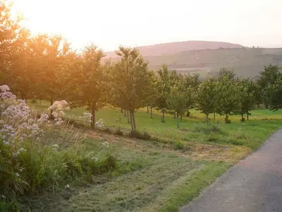 Einzelzimmer für 1 Person (17 m²) in Schliengen 10/10