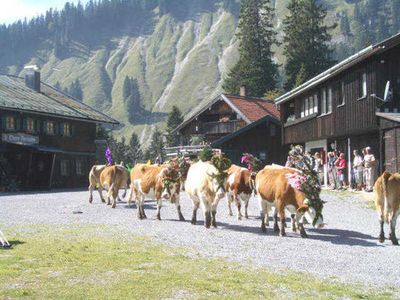 Einzelzimmer für 6 Personen (30 m²) in Schliersee 3/10