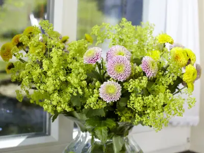 Pension Schütte - Schmallenberg-Grafschaft