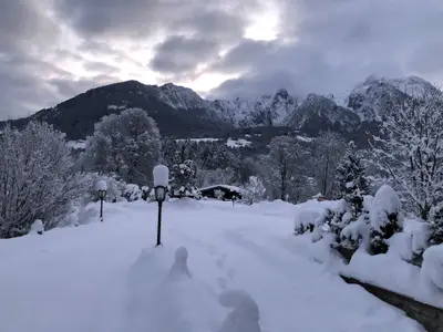 Winter