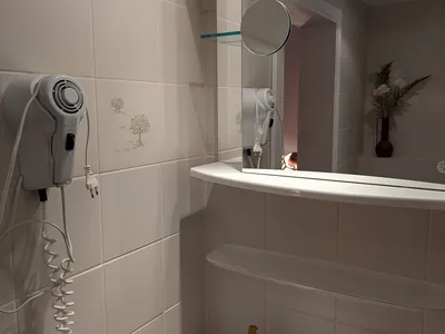 Einzelzimmer für 1 Person (24 m²) in Schönau 8/8