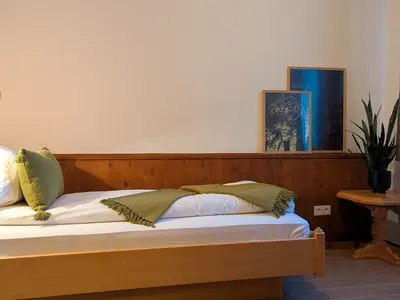 Einzelzimmer für 1 Person (24 m²) in Schönau 2/8