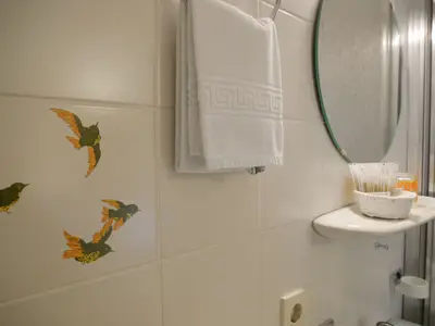 Einzelzimmer für 1 Person in Seebach (Ortenaukreis) 7/7