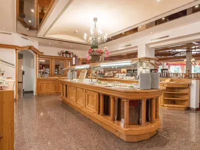 Einzelzimmer für 1 Person (22 m²) in Seefeld in Tirol 7/10