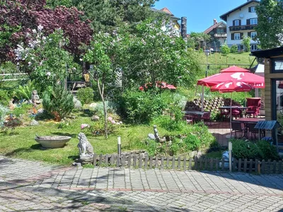Erholsamer Garten im Gasthof Edelweiss