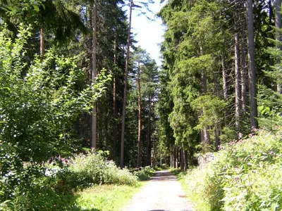 big_5009489.jpg