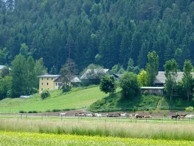 Einzelzimmer für 1 Person in Unterburg 7/10