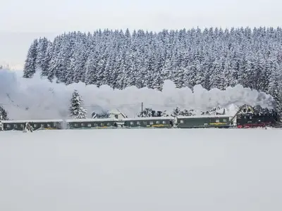 Einzelzimmer für 1 Person (13 m²) in Sehmatal 9/10