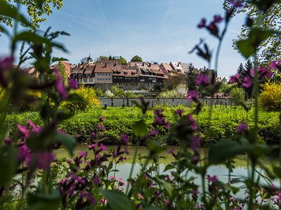 Die Krone am Fluss