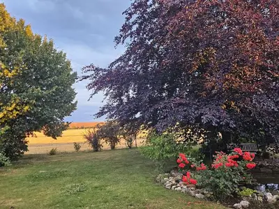 Einzelzimmer für 1 Person (11 m²) in Gröst 4/10