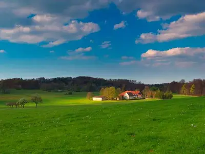 Einzelzimmer für 1 Person (10 m²) in Ohnastetter Bühl 10/10