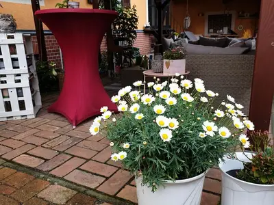 Einzelzimmer für 1 Person (12 m²) in Senftenberg 6/10