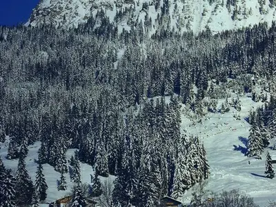 Einzelzimmer für 1 Person in Tannheim 2/10
