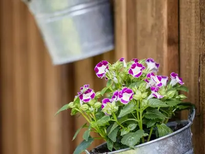 Einzelzimmer für 2 Personen (13 m²) in Schliersee 7/10