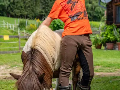 Einzelzimmer für 1 Person (17 m²) in Gurk 7/10