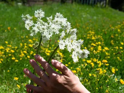Einzelzimmer für 1 Person (17 m²) in Gurk 9/10