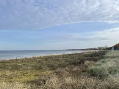 Einzelzimmer für 1 Person (18 m²) in Boltenhagen (Ostseebad) 5/10