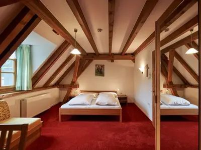 Einzelzimmer für 1 Person (12 m²) in Bezau 2/10